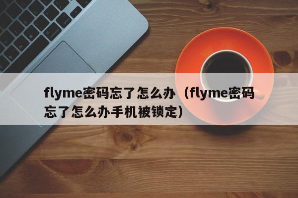 flyme密码忘了怎么办（flyme密码忘了怎么办手机被锁定）