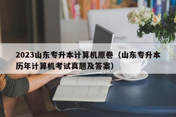 2023山东专升本计算机原卷（山东专升本历年计算机考试真题及答案）