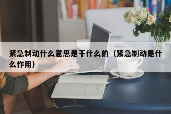 紧急制动什么意思是干什么的（紧急制动是什么作用）