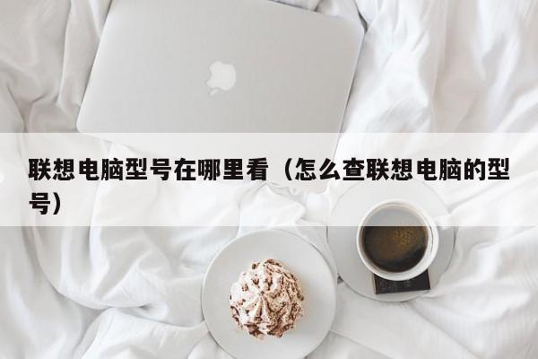 联想电脑型号在哪里看（怎么查联想电脑的型号）