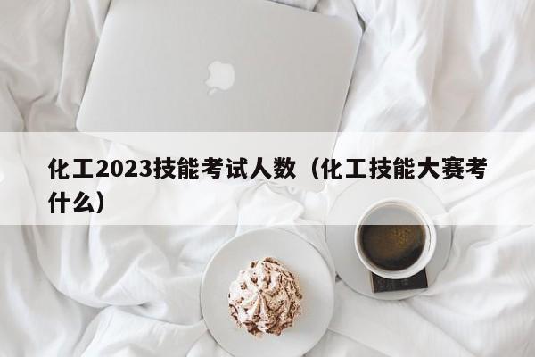 化工2023技能考试人数（化工技能大赛考什么）