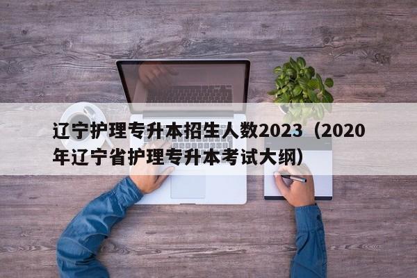 辽宁护理专升本招生人数2023（2020年辽宁省护理专升本考试大纲）