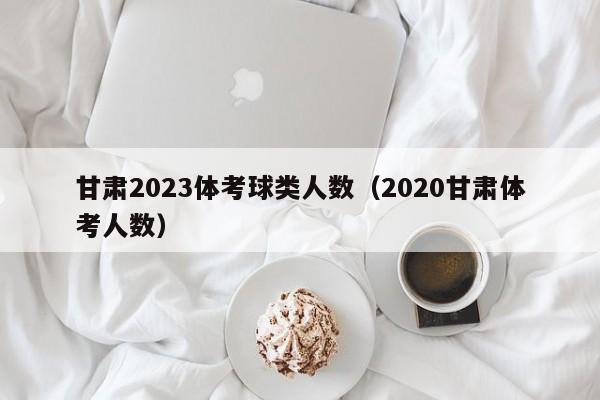 甘肃2023体考球类人数（2020甘肃体考人数）