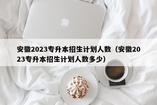 安徽2023专升本招生计划人数（安徽2023专升本招生计划人数多少）