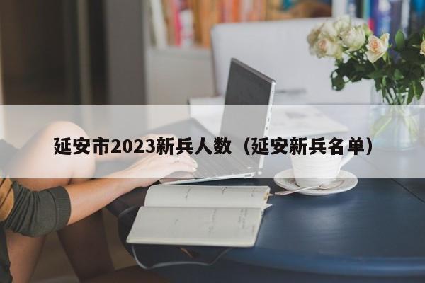 延安市2023新兵人数（延安新兵名单）