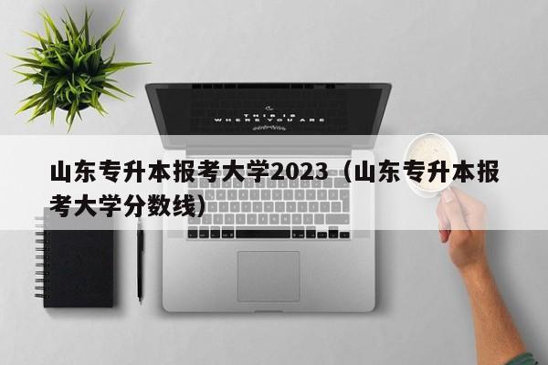 山东专升本报考大学2023（山东专升本报考大学分数线）