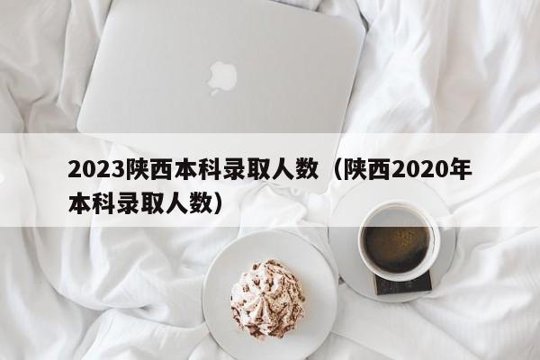 2023陕西本科录取人数（陕西2020年本科录取人数）