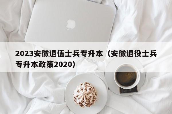 2023安徽退伍士兵专升本（安徽退役士兵专升本政策2020）