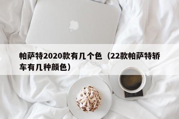 帕萨特2020款有几个色（22款帕萨特轿车有几种颜色）