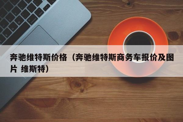 奔驰维特斯价格（奔驰维特斯商务车报价及图片 维斯特）