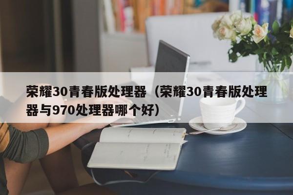 荣耀30青春版处理器（荣耀30青春版处理器与970处理器哪个好）