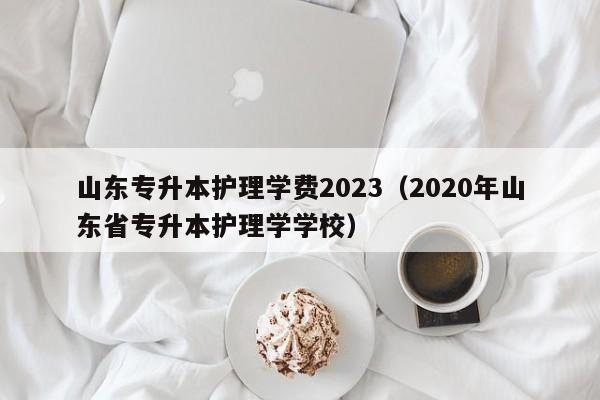 山东专升本护理学费2023（2020年山东省专升本护理学学校）