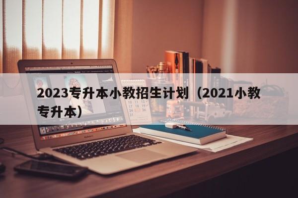 2023专升本小教招生计划（2021小教专升本）