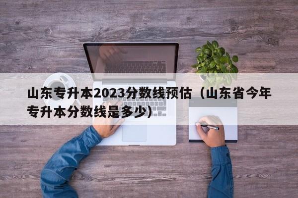 山东专升本2023分数线预估（山东省今年专升本分数线是多少）