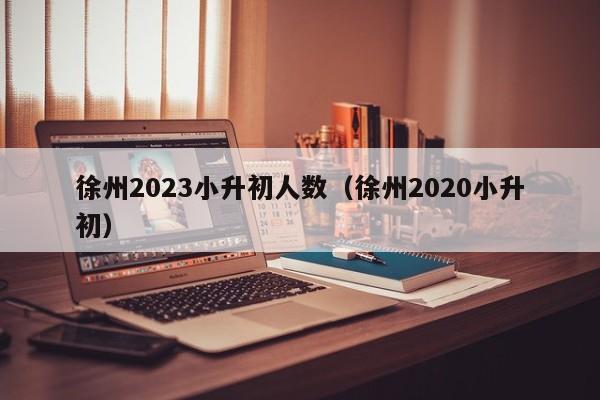 徐州2023小升初人数（徐州2020小升初）