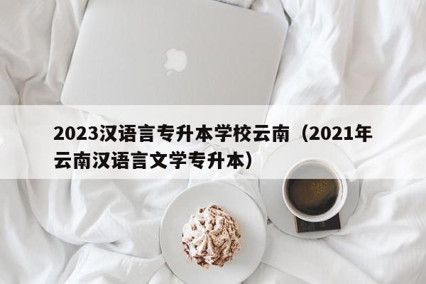 2023汉语言专升本学校云南（2021年云南汉语言文学专升本）