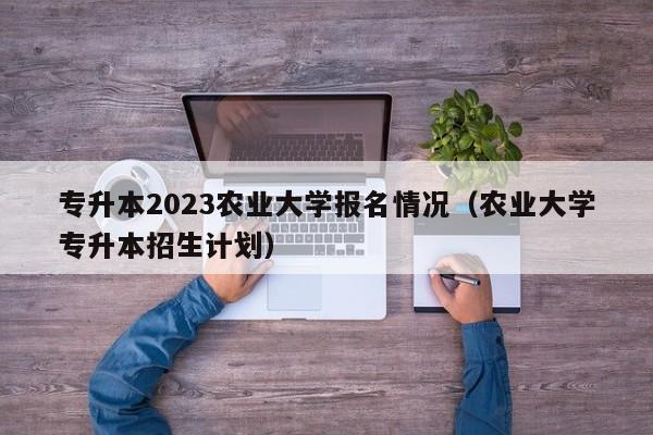 专升本2023农业大学报名情况（农业大学专升本招生计划）