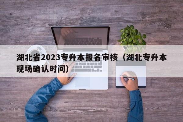 湖北省2023专升本报名审核（湖北专升本现场确认时间）