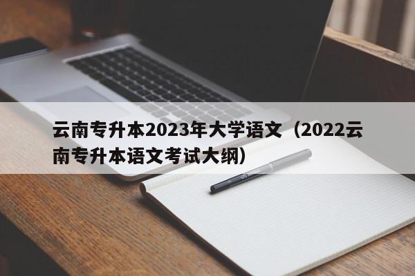 云南专升本2023年大学语文（2022云南专升本语文考试大纲）