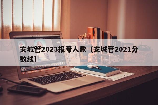 安城管2023报考人数（安城管2021分数线）