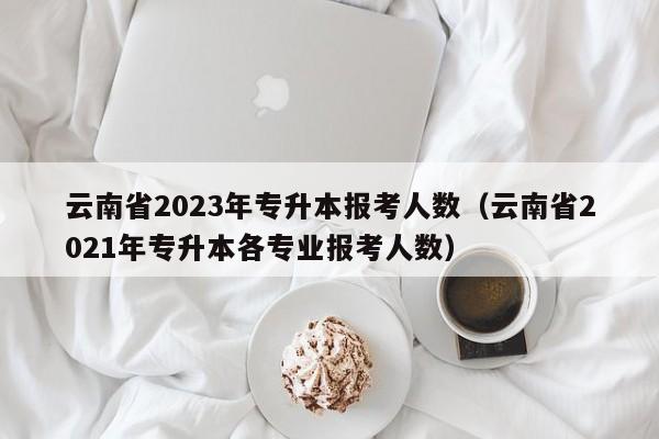 云南省2023年专升本报考人数（云南省2021年专升本各专业报考人数）