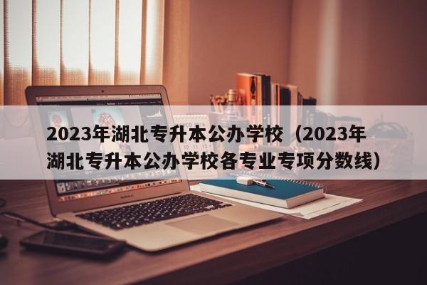 2023年湖北专升本公办学校（2023年湖北专升本公办学校各专业专项分数线）