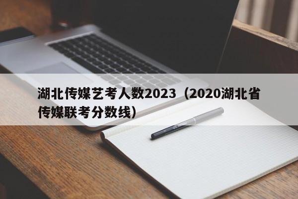 湖北传媒艺考人数2023（2020湖北省传媒联考分数线）