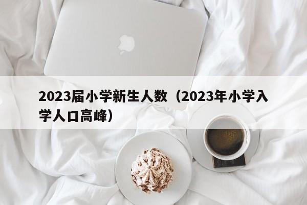 2023届小学新生人数（2023年小学入学人口高峰）