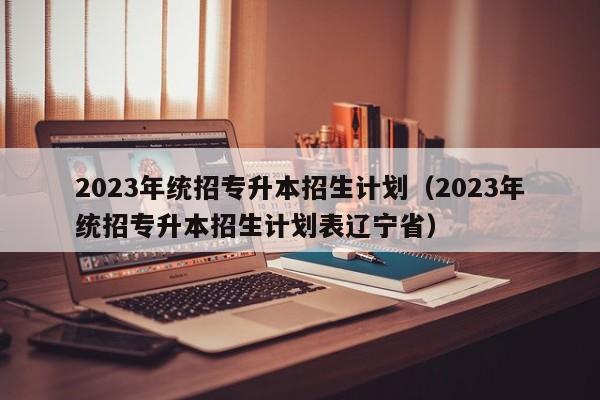 2023年统招专升本招生计划（2023年统招专升本招生计划表辽宁省）