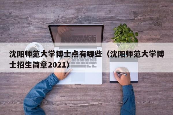 沈阳师范大学博士点有哪些（沈阳师范大学博士招生简章2021）