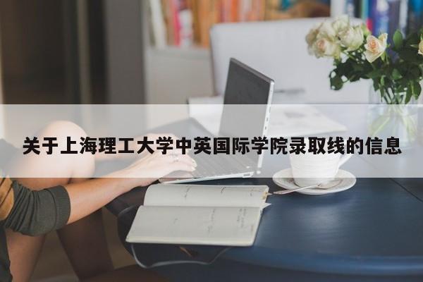 关于上海理工大学中英国际学院录取线的信息