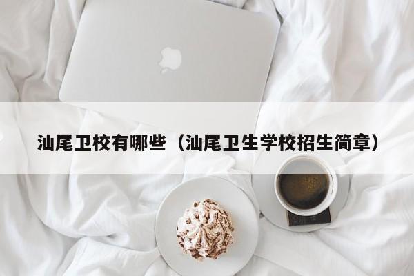 汕尾卫校有哪些（汕尾卫生学校招生简章）