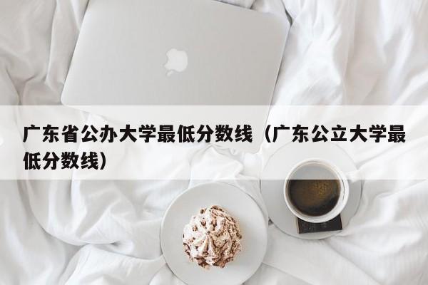 广东省公办大学最低分数线（广东公立大学最低分数线）