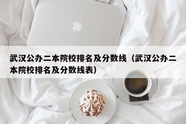 武汉公办二本院校排名及分数线（武汉公办二本院校排名及分数线表）