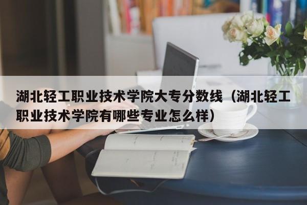 湖北轻工职业技术学院大专分数线（湖北轻工职业技术学院有哪些专业怎么样）