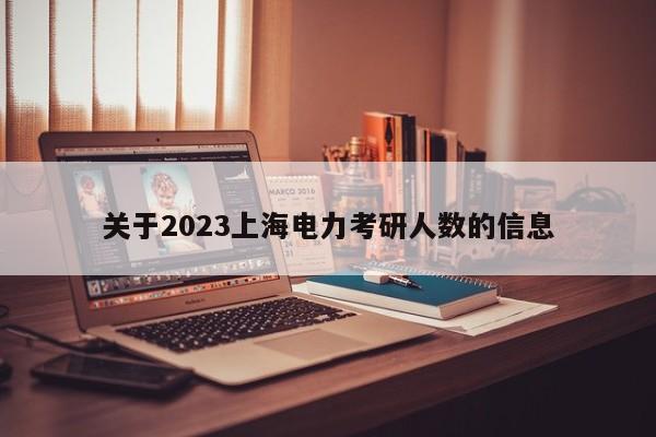 关于2023上海电力考研人数的信息